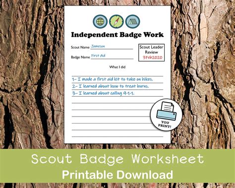 Citizenship in Society - Worksheets Library