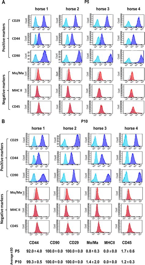 detection  cluster  differentiation cd markers  peripheral