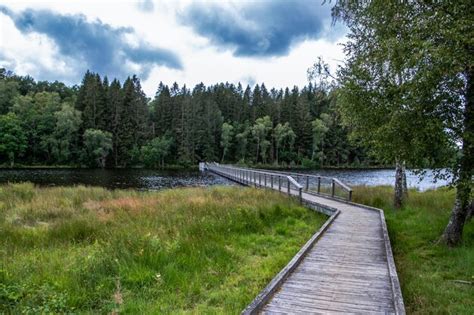 Premium Photo Wooden Footbridge Amidst Plants And Trees Against Sky