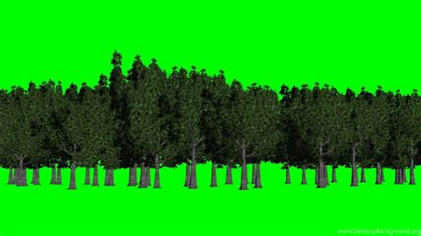 Hd Green Screen Backgrounds Wallpaper Cave