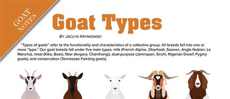 goat types goat journal