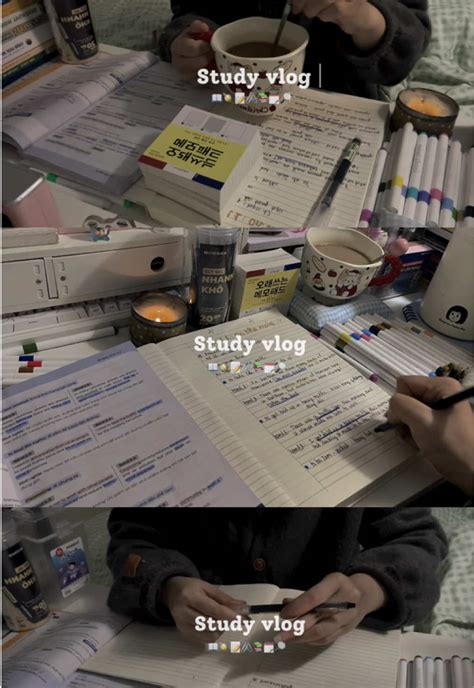 Study Vlog Must Haves TikTok Viral
