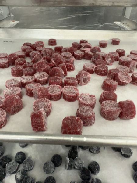 Custom Gummy Recipe Gummy Molds