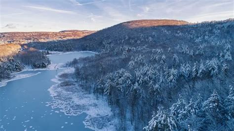 Nature Preserve (Binghamton University's Main Campus Campus Tour)