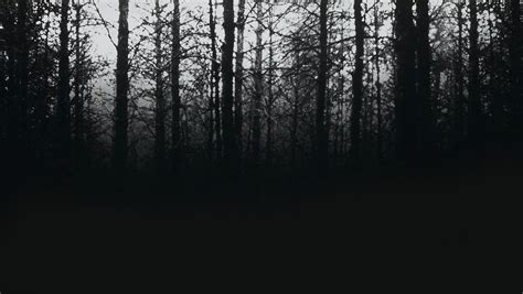 Blair Witch Wallpapers Wallpaper Cave