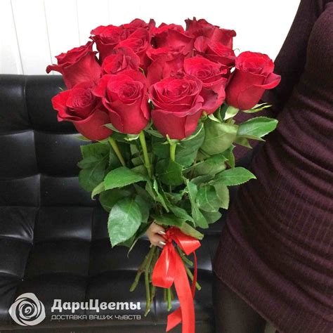 Картинка 15 Роз – Telegraph