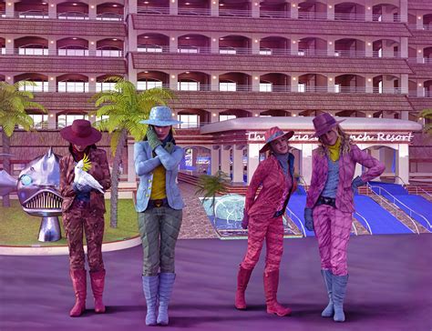 cowboy outfit for dog 1