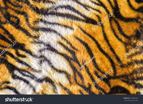 Tiger Texture Fur Background Stock Photo 318056402 | Shutterstock