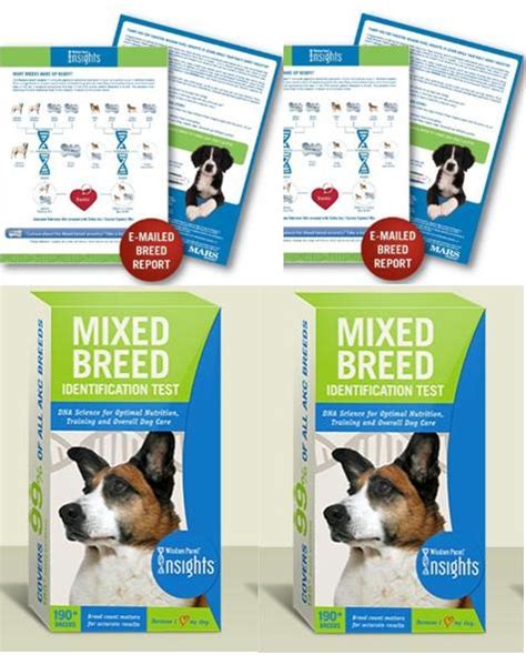 Wisdom Panel Mixed Breed DNA Test Kit - Home