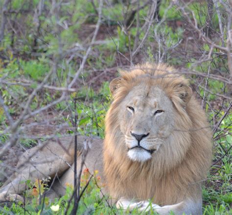 December Specials Big 5 Safari Paul K Safaris