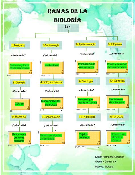 Ramas De La Biologia Mind Map The Best Porn Website