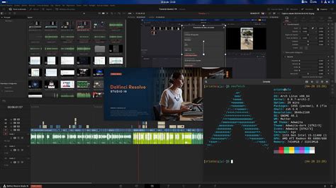 Davinci Resolve En Arch Linux Situaci N Actual En Pleno Youtube