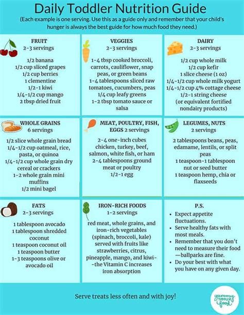 Daily Toddler Nutrition Guide