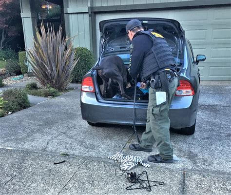 Sex Offender Compliance Checks Conducted In Marin County San Rafael CA Patch