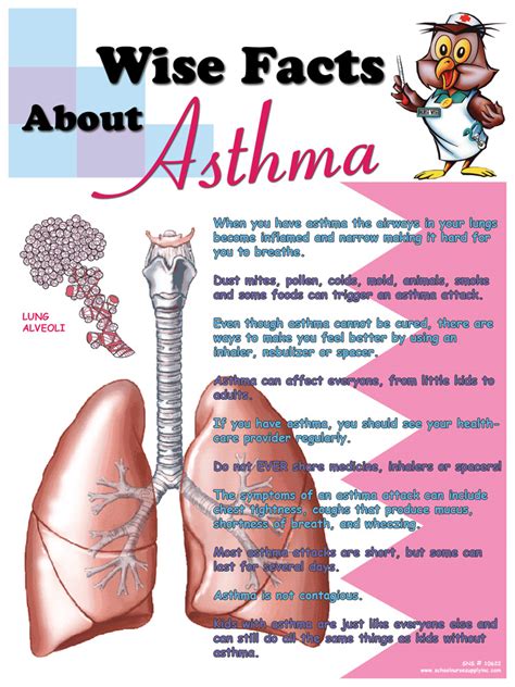 Sns Wise Facts About Asthma Poster