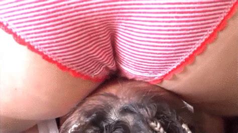 ASS ON FACE COMPILATION NTX 4000 OZ COMPILATIONS Clips4sale