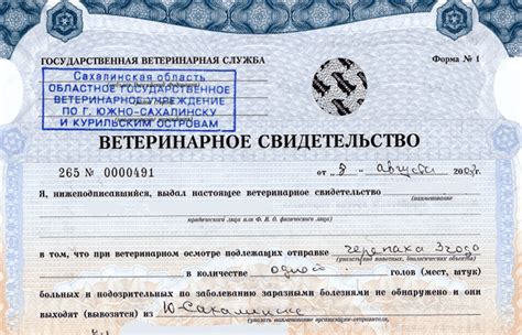 ВЕТПАСПОРТ ДЛЯ КОШКИ СОБАКИ