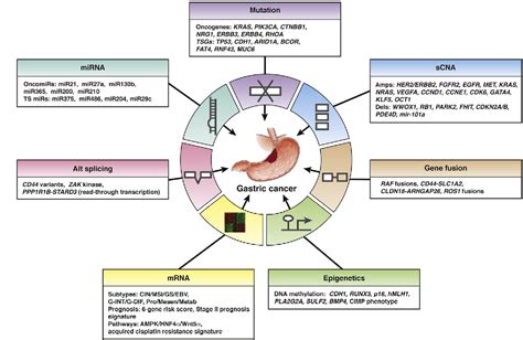 Figure From Genetics And Molecular Pathogenesis Of Gastric