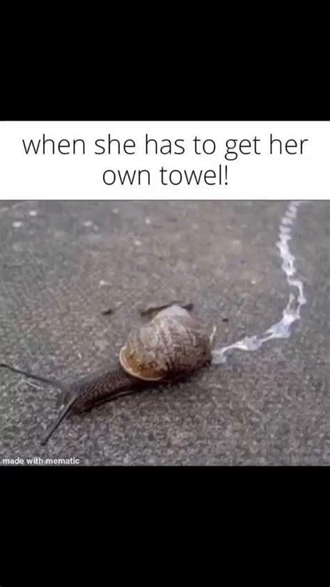 Muscle Barbie On Twitter I Love The Feeling Of Cum Dripping Out Of My Pussy Memes Memetwt