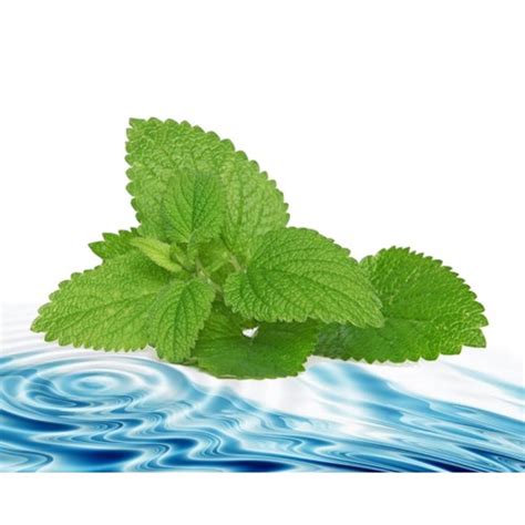 Eau Florale Menthe Poivree