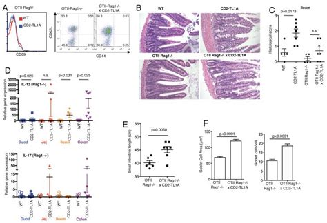 The TNF-family cytokine TL1A drives IL-13-dependent small intestinal ...