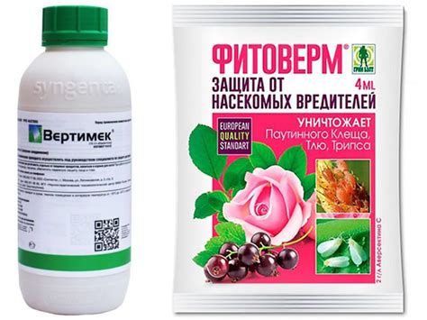 Трипсы на клубнике: как, когда и чем бороться