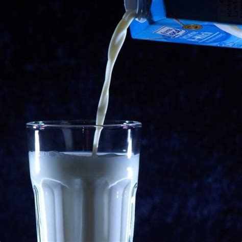 Как потрогать акулу. | Интересные факты