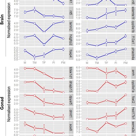 PDF Sex Change In Clownfish Molecular Insights From Transcriptome Analysis