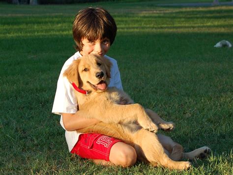 Boy With A Dog Free Stock Photo Freeimages