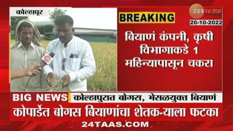 Kolhapur Bogus Seeds कोल्हापुरात बोगस भेसळयुक्त बियाणं शेतकरी