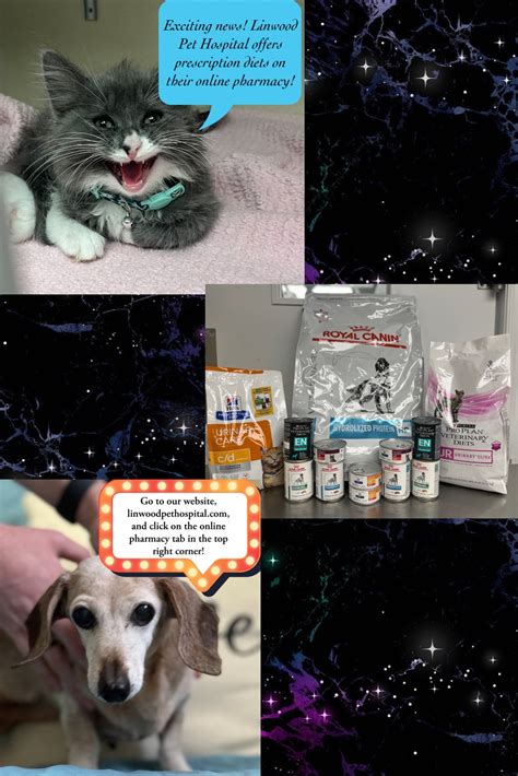 Pet owners are voicing concerns about linwood animal hospital wait times 2