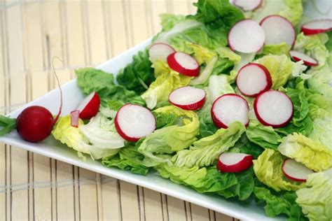 Radish and lettuce salad stock image. Image of veggies - 4839621