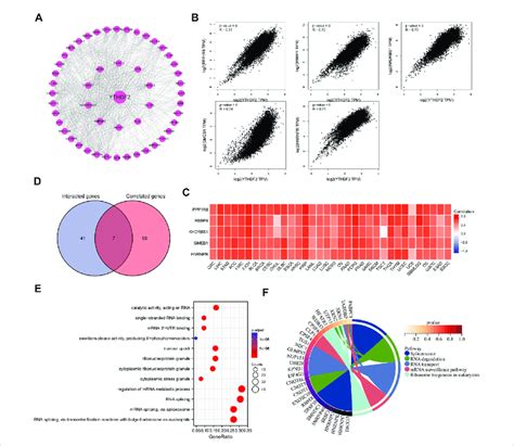 The Protein Protein Interactions Network Go Enrichment Analysis And