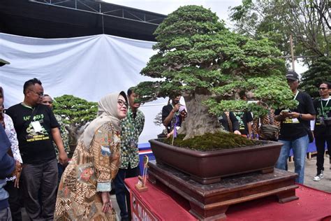 Bupati Buka Kontes Bonsai Nasional Kalpataru Iii Tahun Bagian