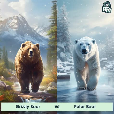 Grizzly Bear vs Polar Bear: See Who Wins | Animal Matchup
