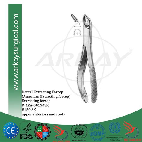 Dental Extracting Forcep American Pattern 150 Sk Upper Anterior And