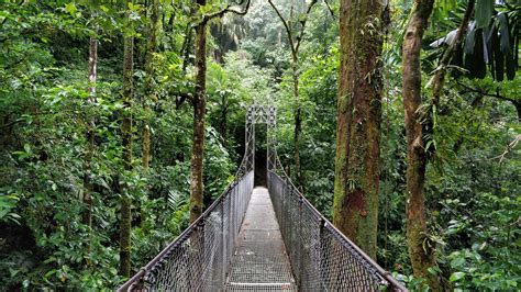 Mistico Arenal Hanging Bridges Park : Costa Rica | Visions of Travel