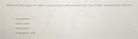 Solved Which Of These Types Of Cells Is A Mature Bone Cell Chegg