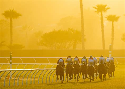 Del Mar Racetrack (@DelMarRacing) / Twitter
