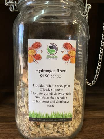 hydrangea root shalom health services