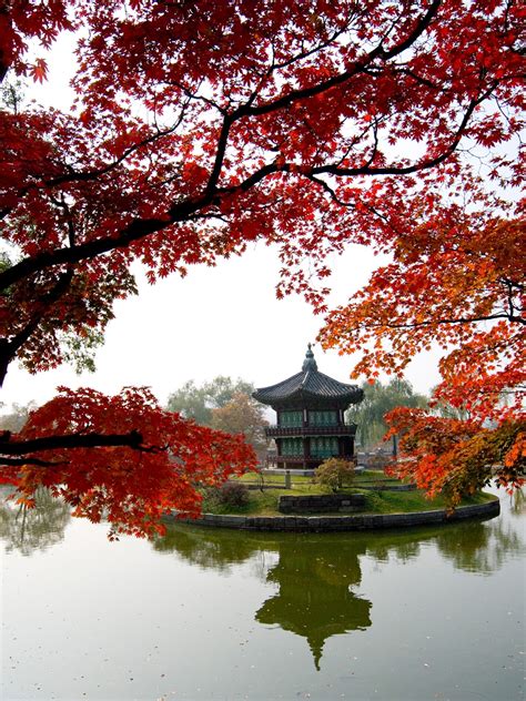 South Korea Travel Guide - Infoupdate.org