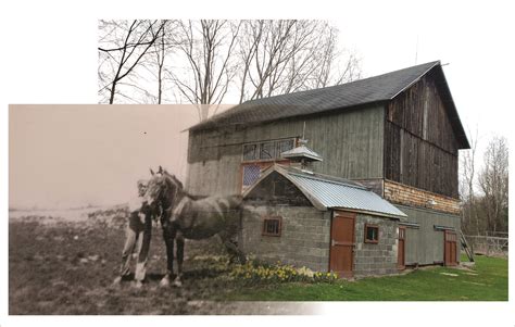 10000 Best Homestead Images On Pholder Homestead Abandoned Porn And