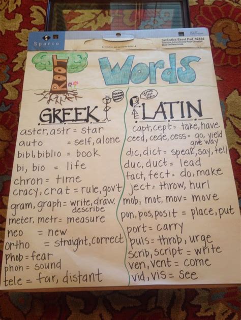 root words anchor chart  greek  latin