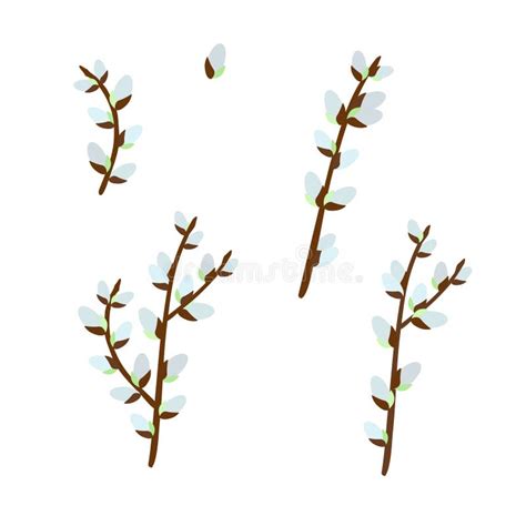 Pussy Willow Vector Stock Illustrations Pussy Willow Vector Stock Illustrations Vectors