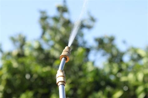 Лучшие садовые опрыскиватели: ТОП рейтинг 2023 года, фото лучших ...