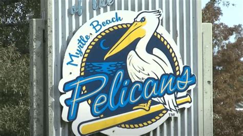 Myrtle Beach Pelicans Announce 2025 Schedule With 132 Games