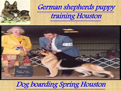 PPT - German shepherds puppy training Houston PowerPoint Presentation, free download - ID:7365648