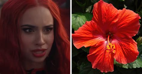 Which Descendants The Rise Of Red Character Are You