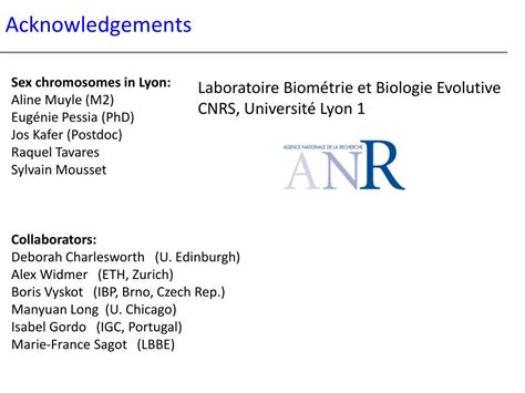 Ppt The Evolution Of Sex Chromosomes From Humans To Non Model Organisms Powerpoint