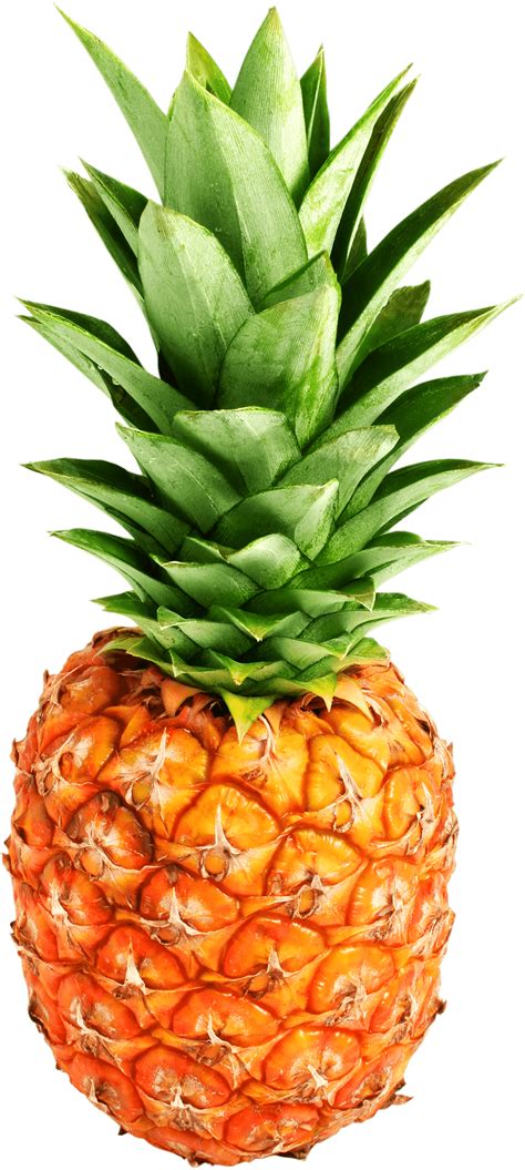 pineapple png image  transparent hq png  freepngimg